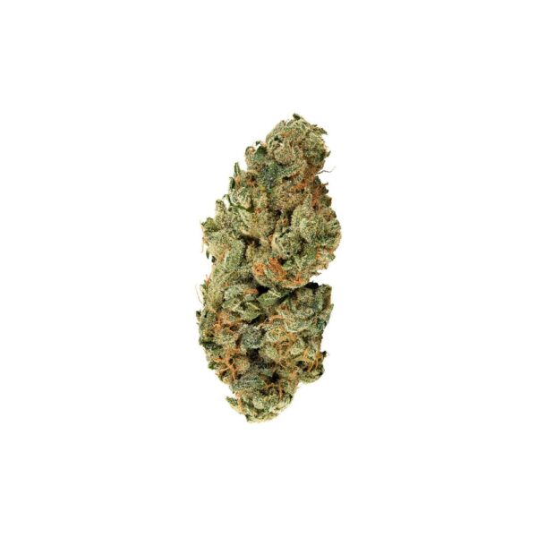 tropical cookies bud