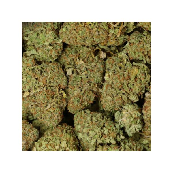 uk cheese bag photo