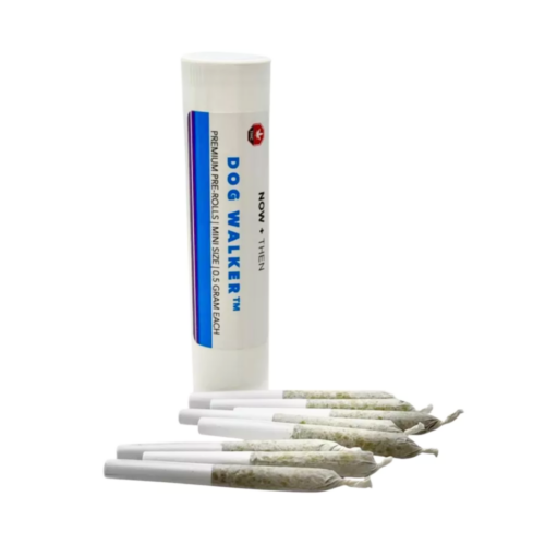 An image of a Now + Then 8 Pack God Kush Dogwalker Pre Rolls in front of the branded tube packaging on a white background
