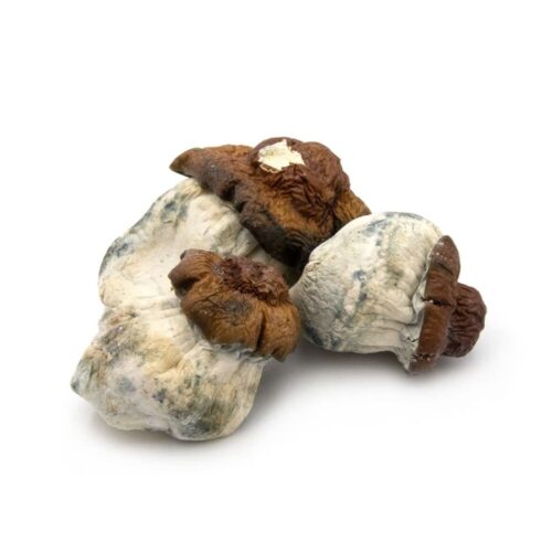 An image of Bluey Vuitton Magic Mushrooms on a white background