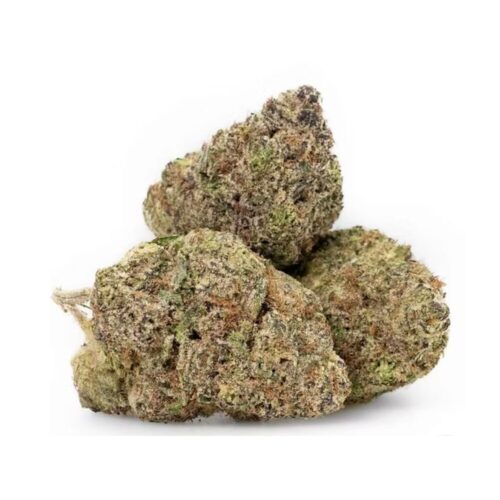 Pink Berry buds