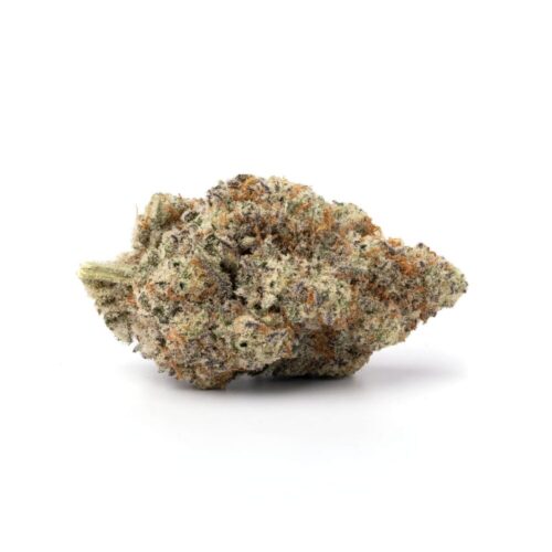 cherry Mac bud photo