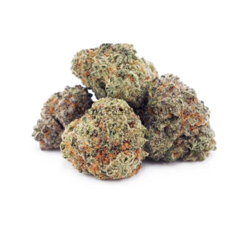 fortune cookies strain buds