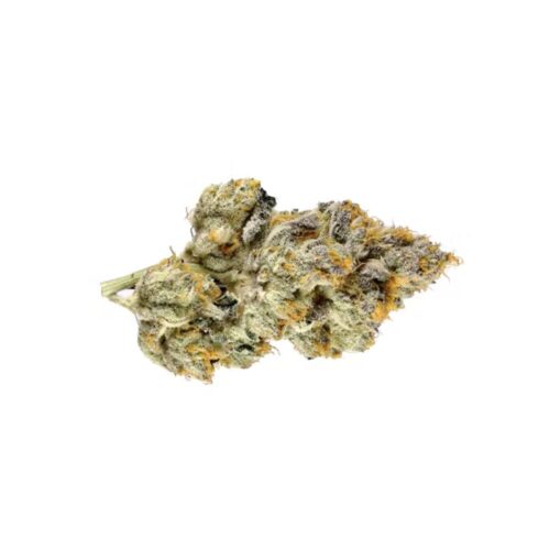 walker kush bud photo