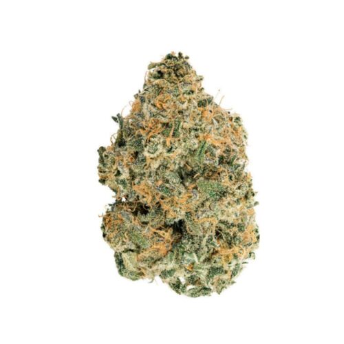 white castle bud photo