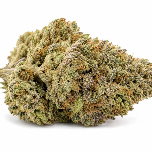 krazy glue bud