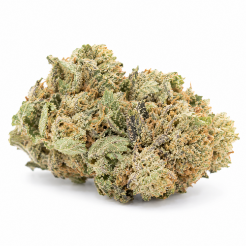 pink venom bud