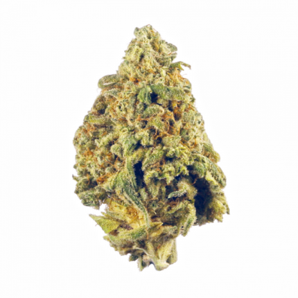 Chem Jack – Hybrid – AAA+