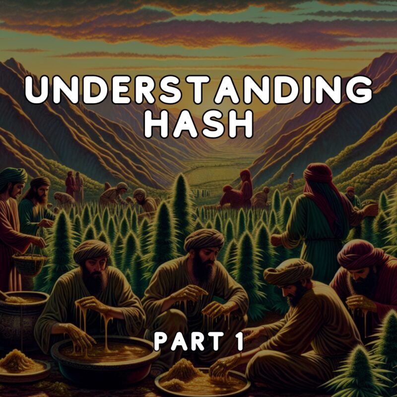 Main Photo, Understanding Hash, A Comprehensive Guide